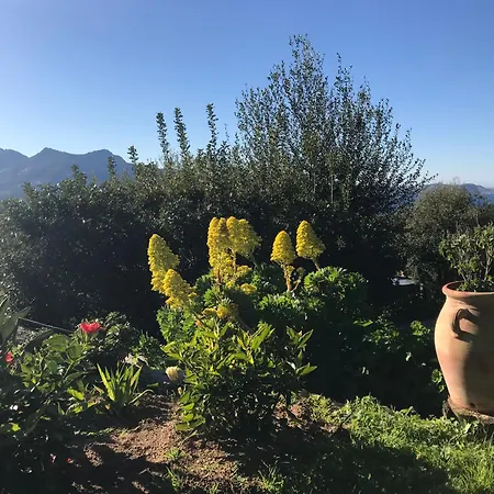 Konukevi Independant Au Calme